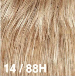 Sandy Wig By Dream USA | Double Mono Top 37 Sandy Wig By Dream USA | Double Mono Top -Wig Promotion Store 14 88H 382b2fee 13e0 4233 8b0b 5fc291b4ee36