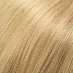 Blake Wig By Jon Renau | Large Cap -Wig Promotion Store 14 88H 7a0e00ba a6c6 4110 a88c 647ae4e451f9