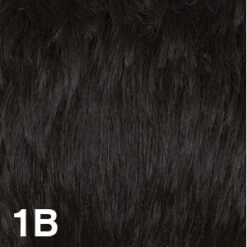 Michigan II Wig By Dream USA | Double Mono Top -Wig Promotion Store 1B 70674508 bfee 4fa6 b820 a7c69bda5b60