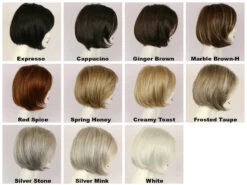 Alana Wig By Godiva Secret Wigs -Wig Promotion Store Alana Capp 360 84301.1574928292