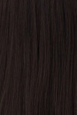 Princessa Wig By Raquel Welch -Wig Promotion Store BL1 Darkest Brown 5162af94 d30e 4b14 931f 5e181b33c48b