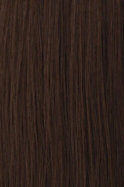 Princessa Wig By Raquel Welch -Wig Promotion Store BL3 Chestnut Brown aa1232f5 1045 43f4 ad66 f25002fae429