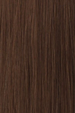 Princessa Wig By Raquel Welch -Wig Promotion Store BL4 Medium Brown Red ea55b830 be2e 4052 9268 9f03e48b053c