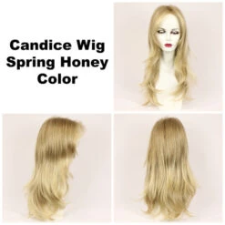 Candice Wig By Godiva's Secret Wigs -Wig Promotion Store Candice spring honey 20620.1461948957.500.659