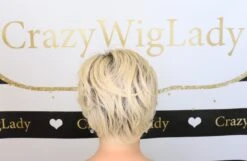 Ready For Takeoff Wig By Raquel Welch -Wig Promotion Store Facetune 29 02 2020 15 21 55