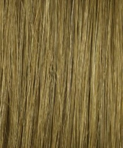 Bravo Wig By Raquel Welch -Wig Promotion Store HD Human Hair R6HH Medium Auburn 907a5d16 6643 4ae8 99a2 aad7d2e42927