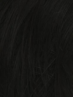 Dignified Men's Wig By HIM | Mono Top -Wig Promotion Store HIM ColorSwatches M1SBlack 892fea81 8629 4580 af01 391d072e3d84