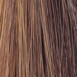 Charlotte Wig By TressAllure -Wig Promotion Store Honey Bean a1ff54c7 e15e 433a ab99 d5da6ce11aa2