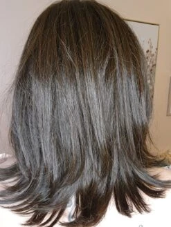 Lisa Wig By Envy | Human Hair/Synthetic Blend -Wig Promotion Store LisabyEnvyDarkBrownBack