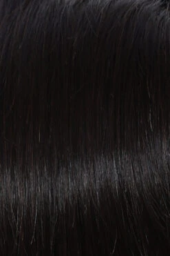 Applause Wig By Raquel Welch 31 Applause Wig By Raquel Welch -Wig Promotion Store R3HH