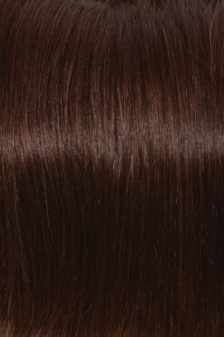 Applause Wig By Raquel Welch 32 Applause Wig By Raquel Welch -Wig Promotion Store R4HH Chestnut Brown