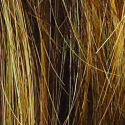 Salsa Wig By Raquel Welch | Large Cap 32 Salsa Wig By Raquel Welch | Large Cap -Wig Promotion Store R9F26 MOCHA FOIL 271f6265 1c1b 42bf 8c7f a51f6d268b63