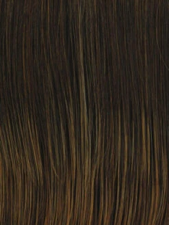 Straight Up With A Twist Wig By Raquel Welch -Wig Promotion Store RL6 28 BRONZED SABLE 222d127d e2e8 4238 9aa0 b75bbf36234b