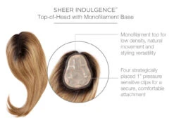 Go All Out 16" Topper By Raquel Welch -Wig Promotion Store RW GoAllOut16 Cap