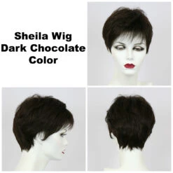 Sheila Wig By Godiva's Secret Wigs 24 Sheila Wig By Godiva's Secret Wigs -Wig Promotion Store Sheila Dk choc 93599.1458852410.1280.1280