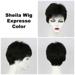 Sheila Wig By Godiva's Secret Wigs 25 Sheila Wig By Godiva's Secret Wigs -Wig Promotion Store Sheila Expresso 46658.1458852394.1280.1280