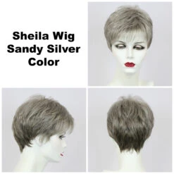 Sheila Petite Wig By Godiva's Secret Wigs 20 Sheila Petite Wig By Godiva's Secret Wigs -Wig Promotion Store Sheila Sandy Silver 69307.1458852679.1280.1280