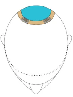 Top This 12" By Jon Renau | Remy Human Hair | Renau Exclusive -Wig Promotion Store TopThis placement 831681dd a831 46fc 8a69 515908ad8271