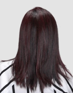 Picture Perfect Wig By TressAllure | Mono Top -Wig Promotion Store TressAllure PicturePerfectBack 1B Burg