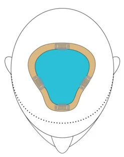 EasiPart XL 8" | Remy Human Hair | Renau Exclusive -Wig Promotion Store easiPartXL placement color 9276ed3f a7b8 47d4 941f 02288e24bbff