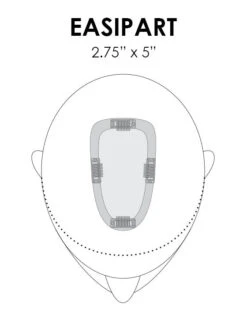 EasiPart Topper French 12" | Remy Human Hair | Renau Exclusive -Wig Promotion Store easipart placement base dimension 98ac21d3 3e7c 4c5f 92a0 681395729ee2