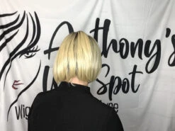 Let's Rendezvous Wig By Raquel Welch -Wig Promotion Store image00002 0ff8d142 0fe5 4fa2 8689 c1e5cfc850d0