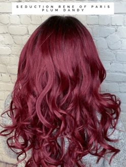 Seduction By Rene Of Paris -Wig Promotion Store image00002 8e38ba73 cbe9 403e af15 5b7d56272d24